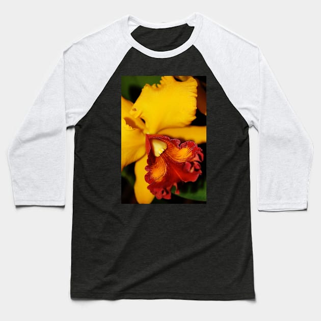 Soft-Focus Orchid Baseball T-Shirt by WaterGardens